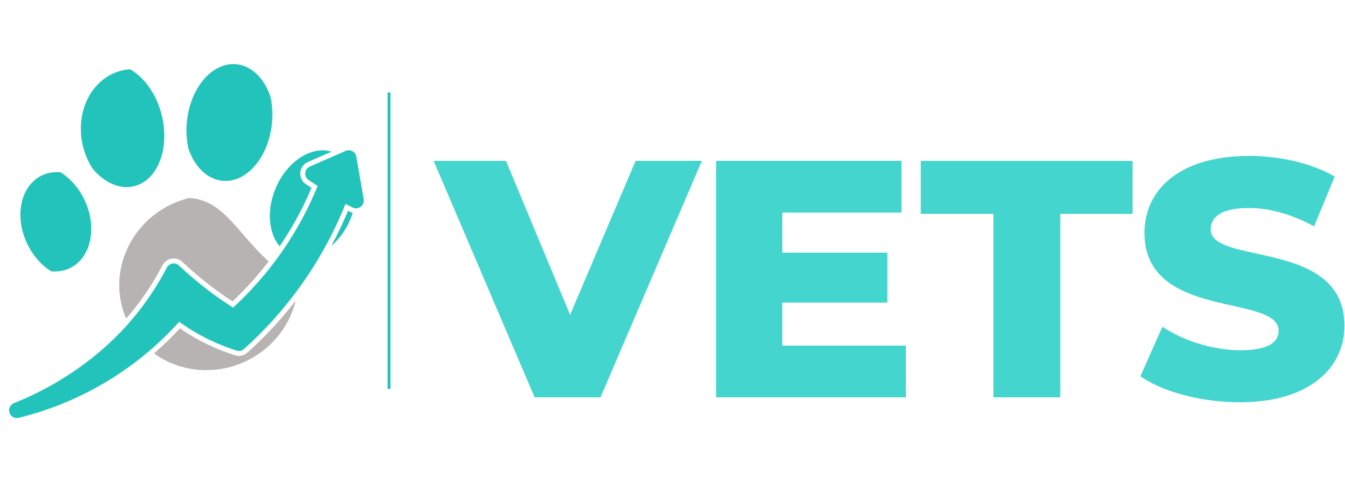 VG Performance Digital